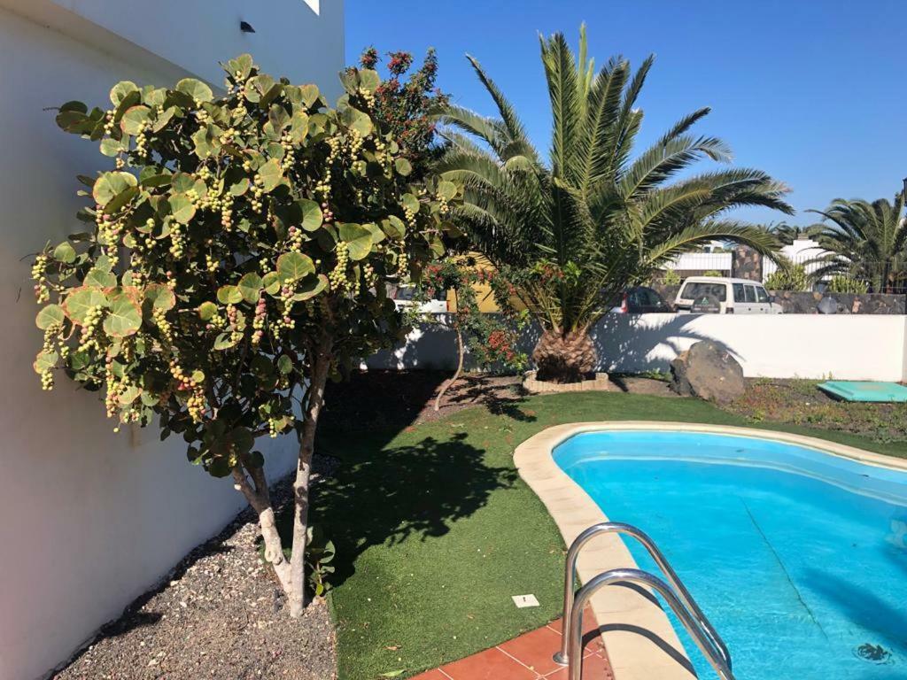 Royal Park Guesthouse Corralejo Zewnętrze zdjęcie
